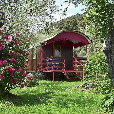 Azienda Agricola Della Mezzaluna Stiava Экстерьер фото